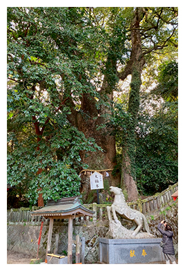 八幡朝見神社